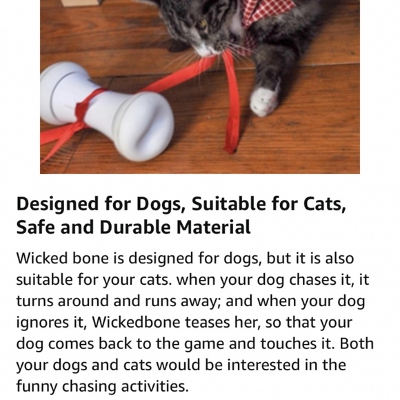 Wicked Bone Interactive Automatic Dog Cat Toy Remote Control Robot Rechargeable - Picture 8 of 15